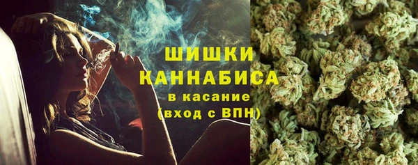 мдпв Пересвет