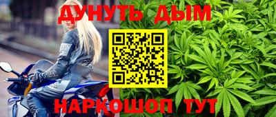 прущие грибы Абакан