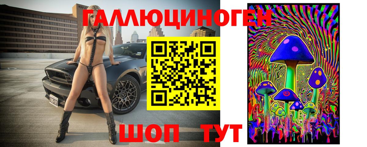 Альметьевск  Галлюциногенные грибы прущие грибы  Вход с VPN 
