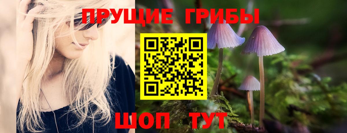 Галлюциногенные грибы Psilocybe Альметьевск